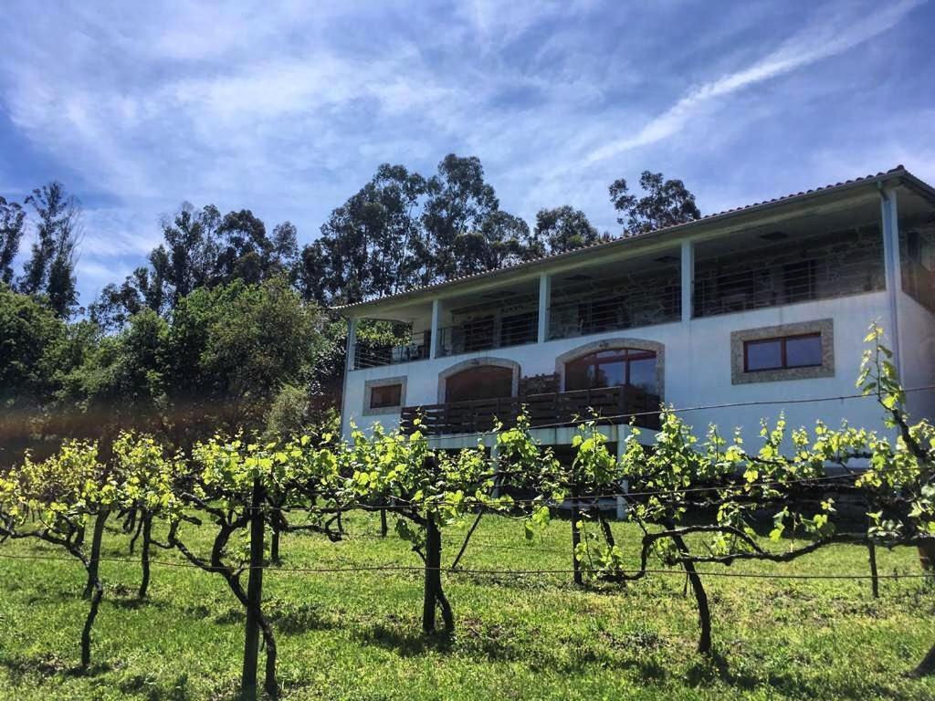 Quinta Da Quinta, Private Room Vieira do Minho Exterior photo